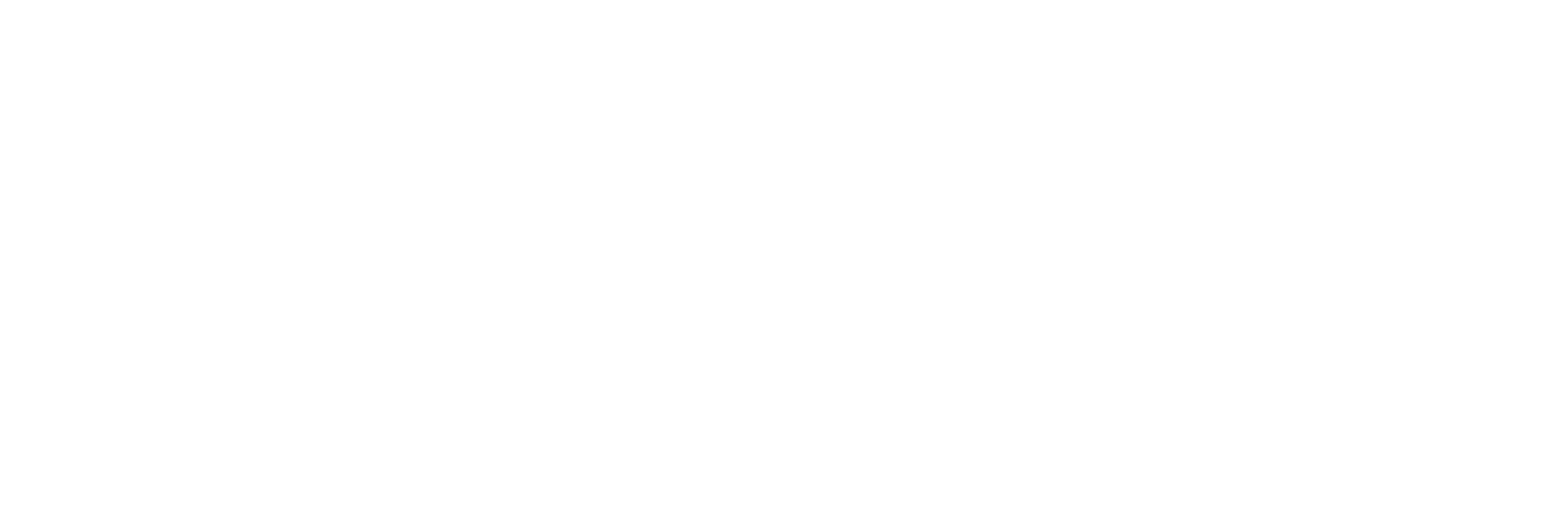 Мега Бизнес
